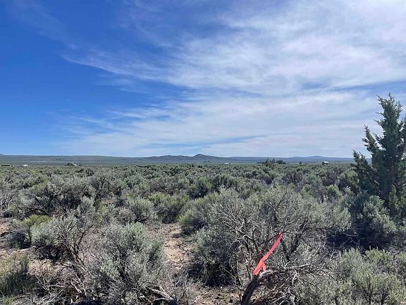 2nd image of Pinion Ln #9100