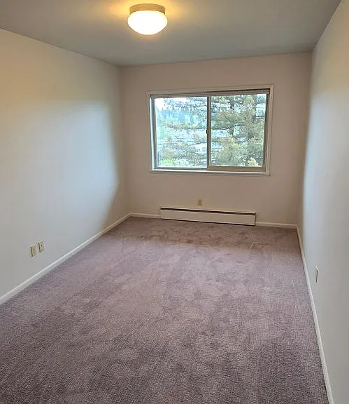 4714 22nd Ave NE — Photo 5