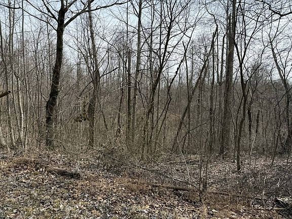 4th image of 0 Malone Ridge Rd