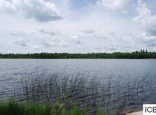 56099 W View Rd, Bigfork, MN 56628