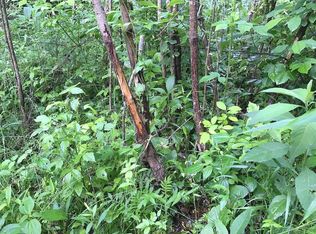 Clay Lick Rd, --, OH 45658