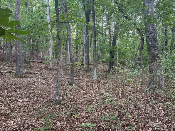 Hoges Orchard Ln, Pembroke, VA 24136