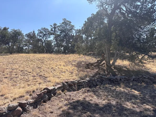 233 Turquoise Trl, Datil, NM 87821
