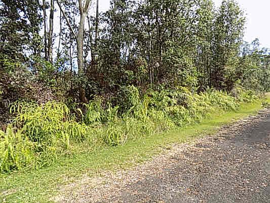 2nd image of Puna Rd Lot 361