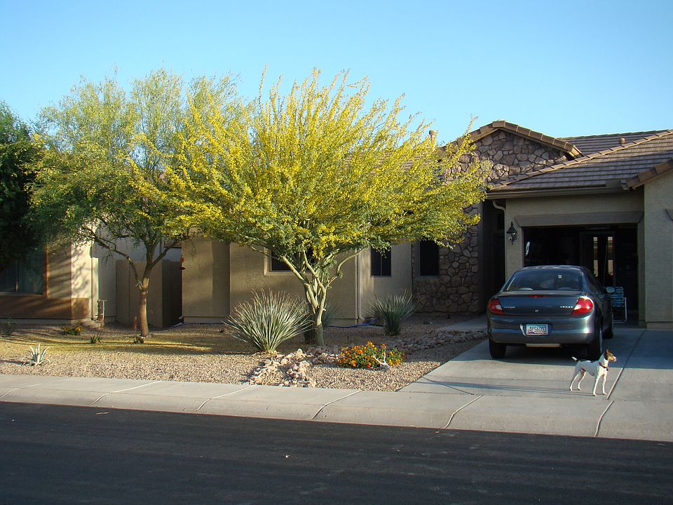 2nd image of 45239 W Desert Cedars Ln