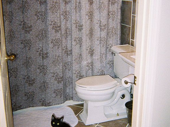 Refinished Guest Bath