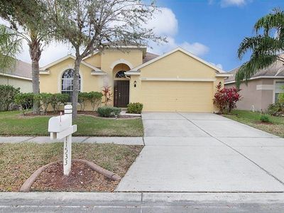 11533 Cypress Reserve Dr, Tampa, FL, 33626