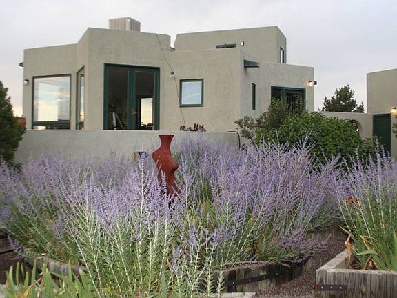 The Star House from the east with a six-pointed star garden