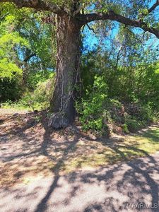 0 Brooklyn Rd, Evergreen, AL, 36401