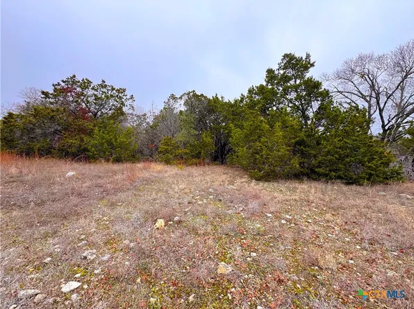 1021 Cliff Dr, Spring Branch, TX 78070