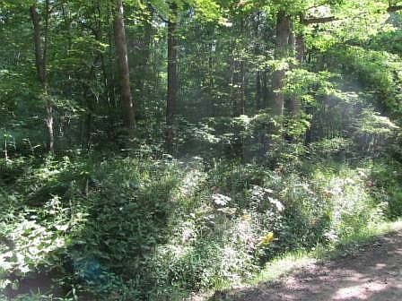 2nd image of 1168 Fairview Rd