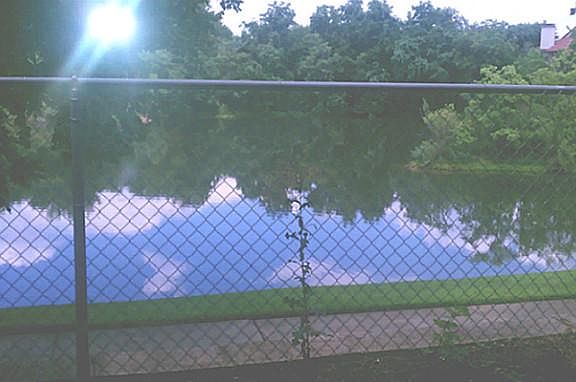 4th image of 1027 Turtle Lake Blvd #110