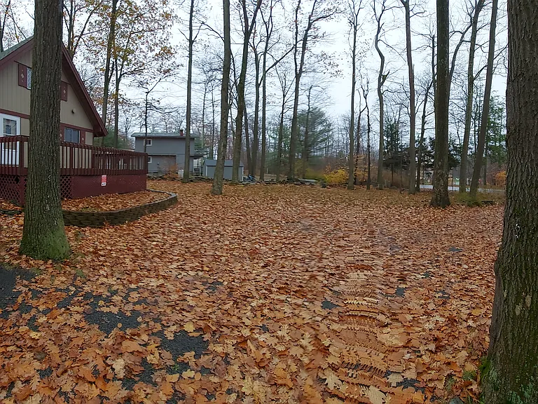 8138 Wildflower Dr — Photo 14