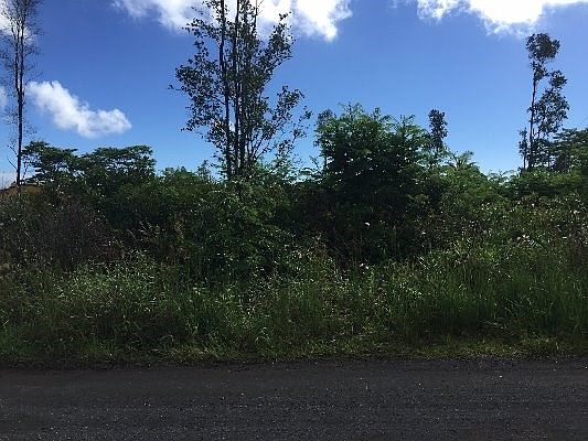 3rd image of 15-1517 16th Ave Lot 782