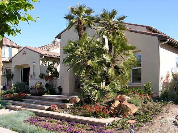 Spanish Modern Mediterranean