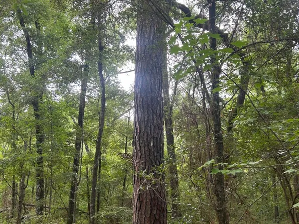 0 Boat Landing Rd, Ridgeville, SC 29472