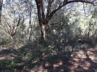 12330 N Ruff Poin #141, Dunnellon, FL 34433