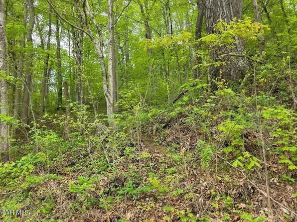 Garrison Holw, Elizabethton, TN 37643
