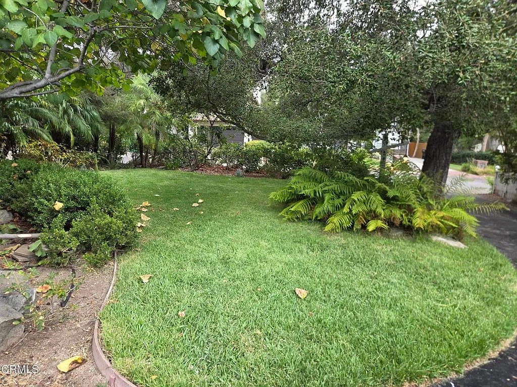 3 bed, 1341 sqft, $4,900 — Photo 4
