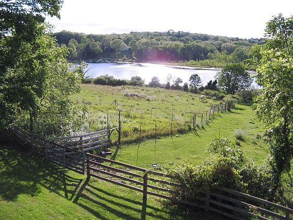 Pasture Leading to Lake