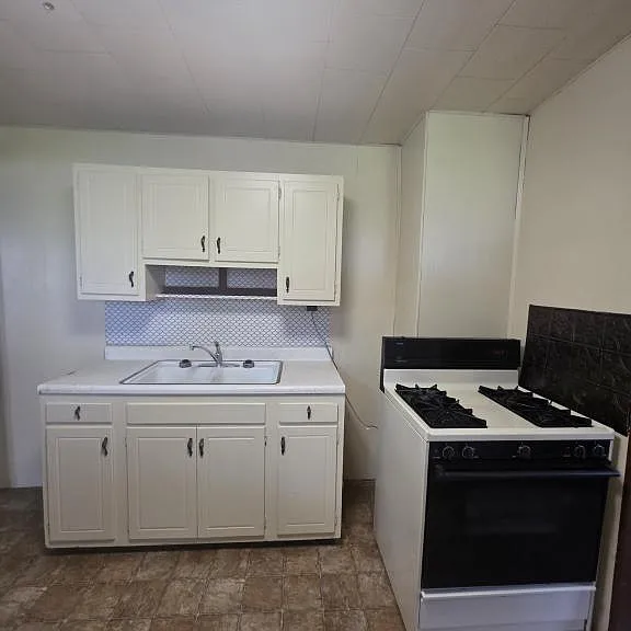 1027 S Bell St — Photo 3