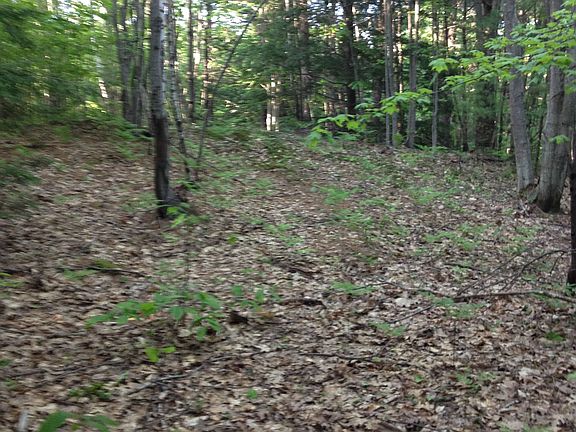 Potential building site