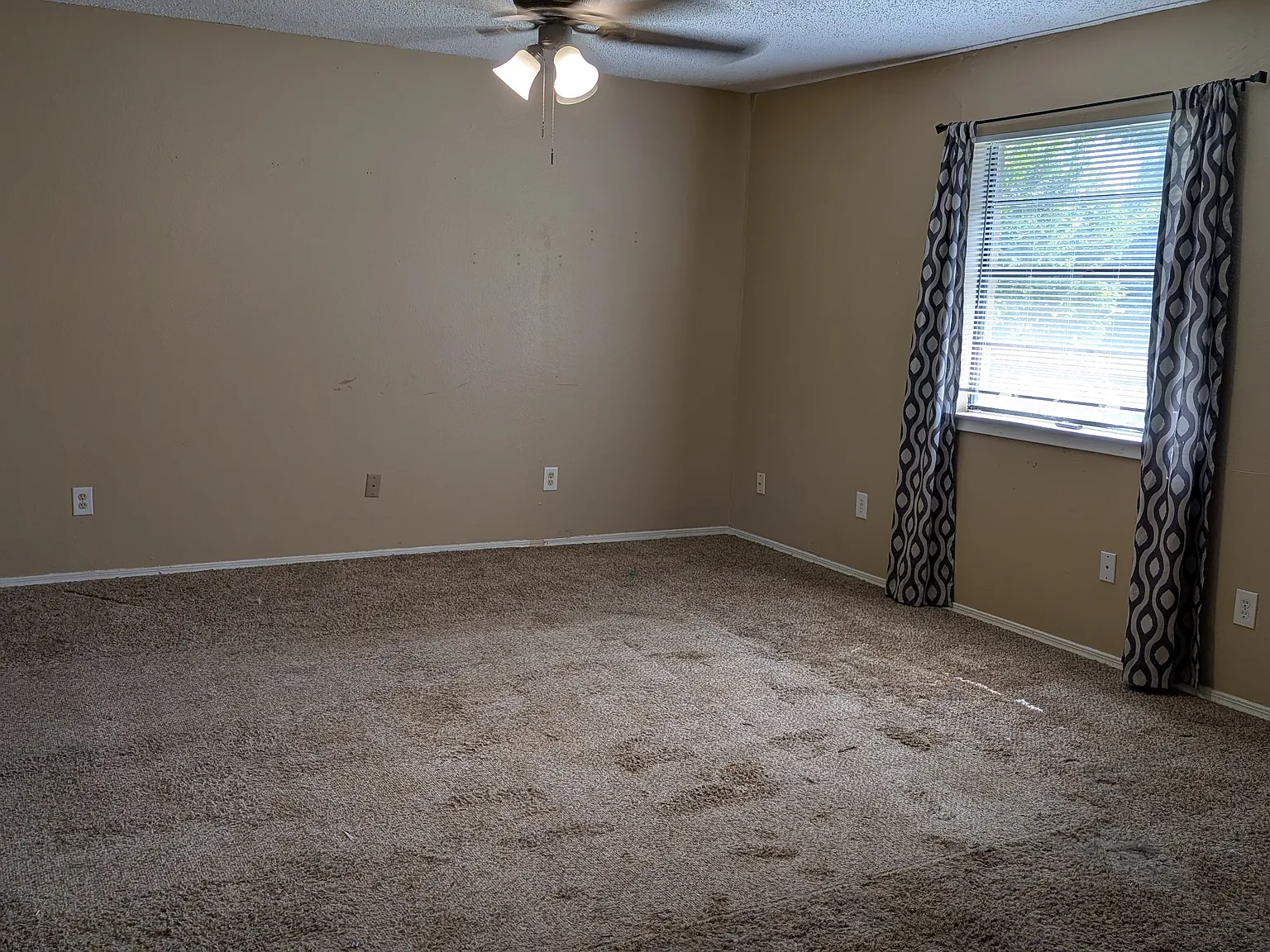 3 bed, 1250 sqft, $1,600 — Photo 2