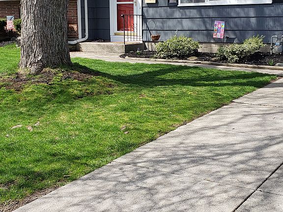 2nd image of 44 Dolphann Dr