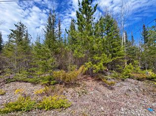 LOT 116 W Norwood Ct, Presque Isle, MI 49777