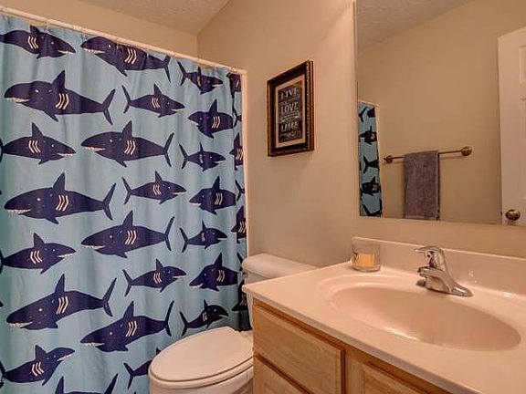 5th image of 309 Rose Bud Ln