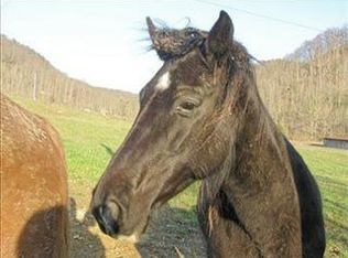 2835 Hammons Fork Rd, Mt Vernon, KY 40456