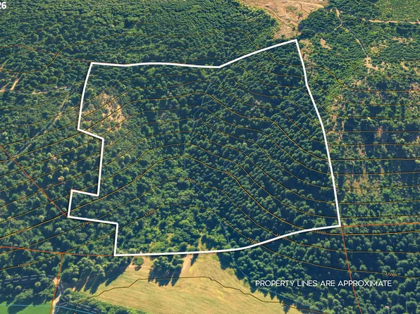 Stoller Rd, Trout Lake, WA 98650