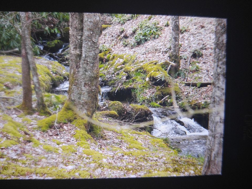Rushing creek