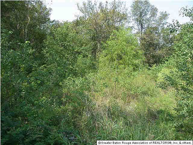 2nd image of Blairstown Dr