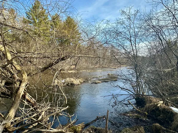 Twin Bridge Rd, Grayling, MI 49738