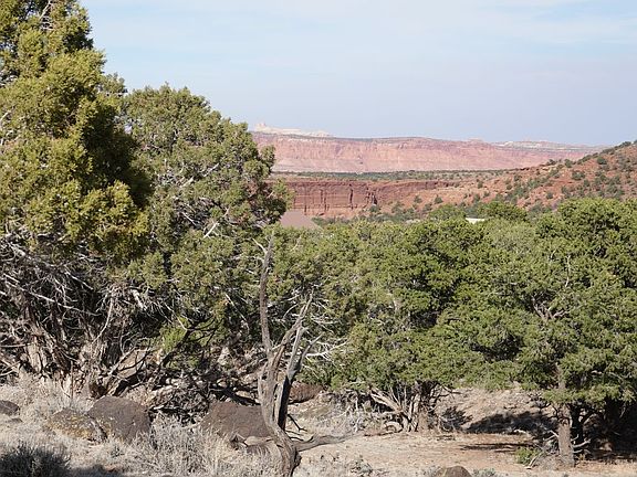 4th image of 1115 E Donkey Flats Rd