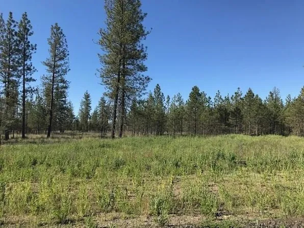 5742 Corkscrew Canyon Rd #J, Tumtum, WA 99034