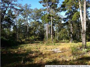 Clinton Allen Rd, Denham Springs, LA 70726