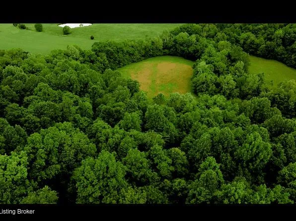 5579 Falls Of The Rough Rd, Caneyville, KY 42721