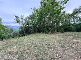 211 Blackstone Ln Lot 681R, New Tazewell, TN 37825