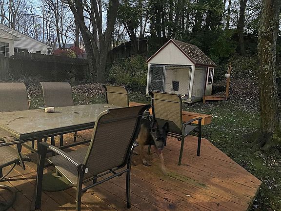 Backyard view 