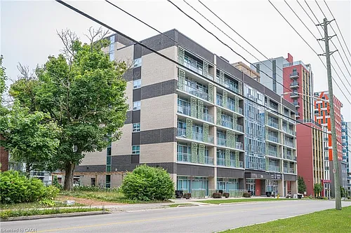 250 Albert St #318 Photo 1