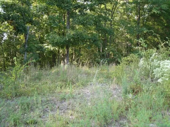 728 Riverwind Dr, Waverly, TN 37185