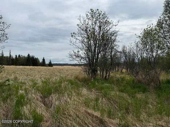 Nhn Early Spring St, Homer, AK 99603
