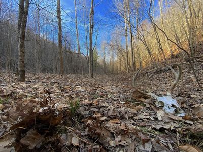 Kelly Rd, Ray, OH, 45672