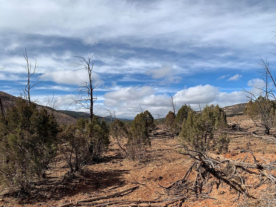 2nd image of 16 Canyon Dr