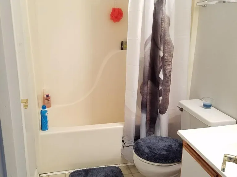 Guest bathroom