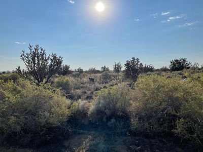 1309 11th St SE, Rio Rancho, NM, 87124