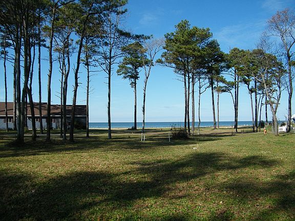 5th image of Peaceful Pond Dr Lot 16