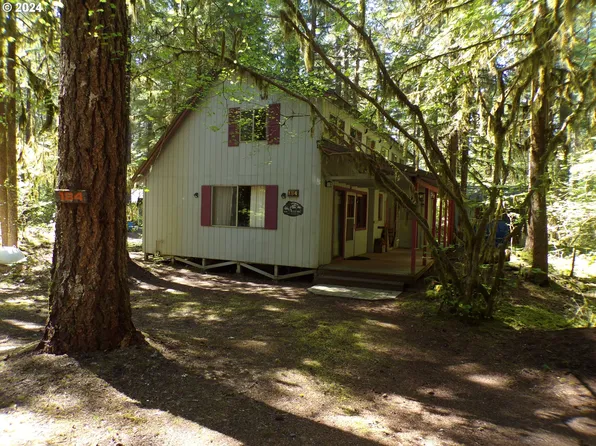 Cabin 184 Northwoods, Cougar, WA 98616